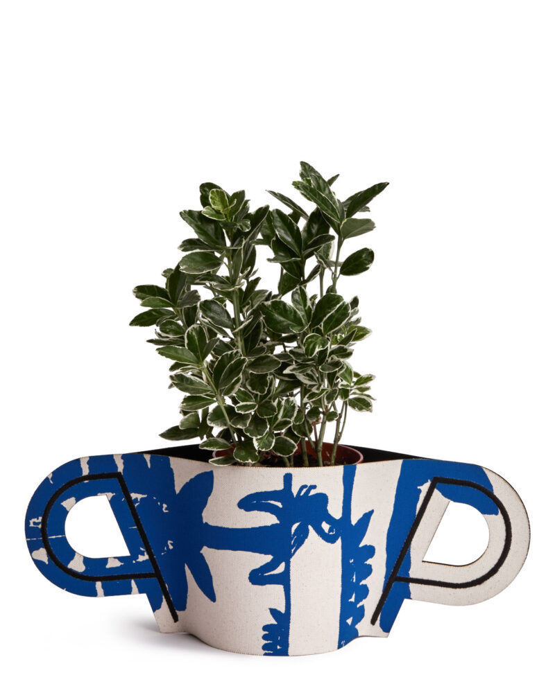 Crete: Pot