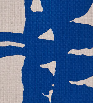 Color Image 2