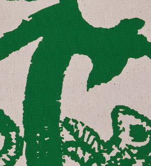 Color Image 1