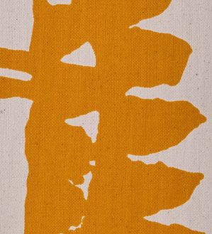 Color Image 3